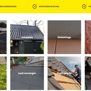Alle categorieën